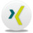 Xing Icon